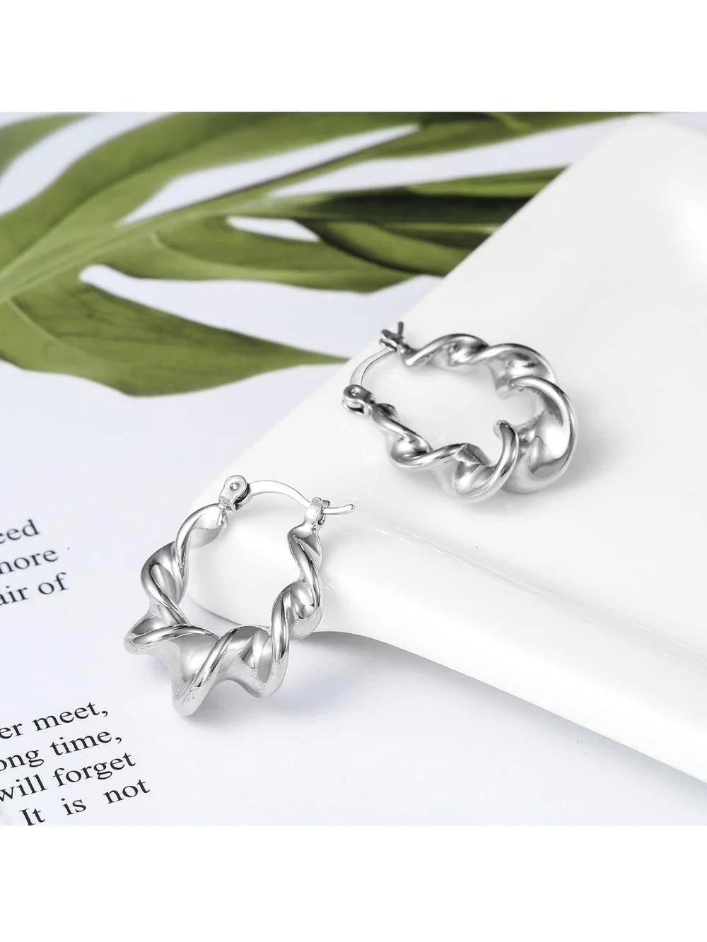 Sterling Silver Twisted Hoop Earrings - Silver
